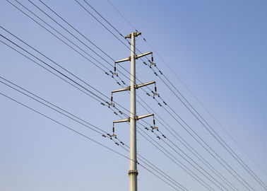 Doppia/singola torre della trasmissione del circuito, torre d'acciaio su misura di Palo